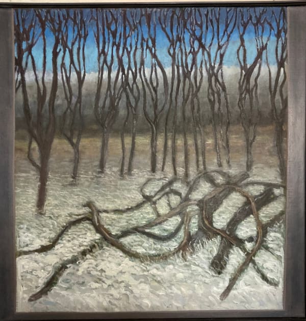 Brian Bourke, Winterscape