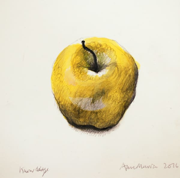 Anne Madden, Apple, 2016