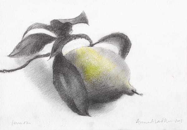 Anne Madden, Lemon on tree II, 2013