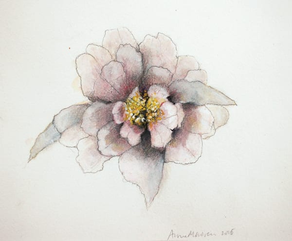 Anne Madden, Blossom, 2016