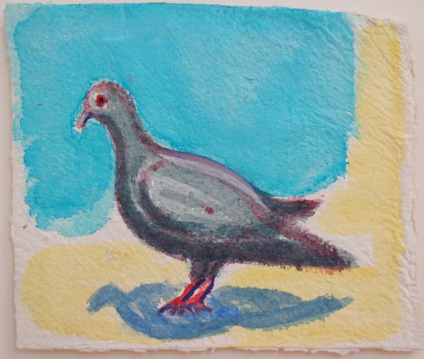 Michael Cullen, Young Pigeon, 2017-18