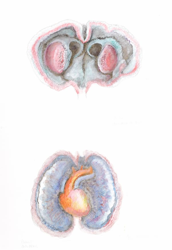 Anne Madden, Head over heart II, 2015