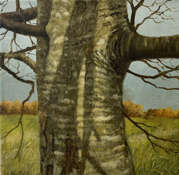 Martin Gale, Tree and Shadow, 2022