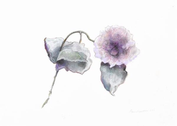 Anne Madden, Dying rose, 2016