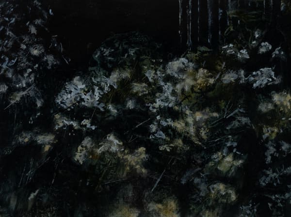 Beatrice O'Connell, New Growth, 2025