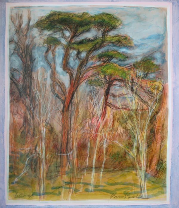 Brian Bourke, Letteragh 1, 2019