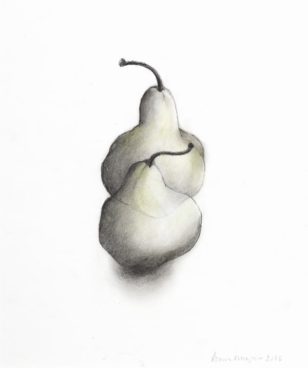 Anne Madden, A pair of pears, 2017