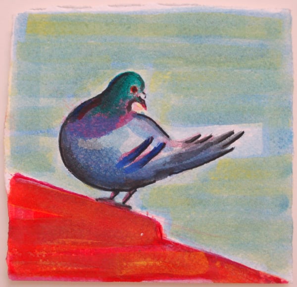 Michael Cullen, Rooftop Pigeon, 2017-18