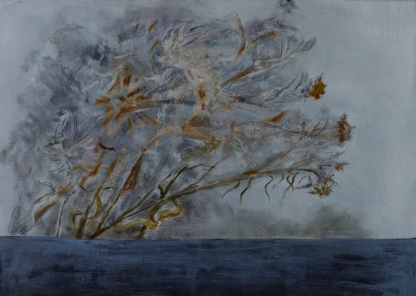 Beatrice O'Connell, Memento Mori flowers, 2025