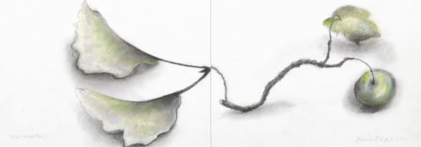 Anne Madden, Crab Apple, 2015