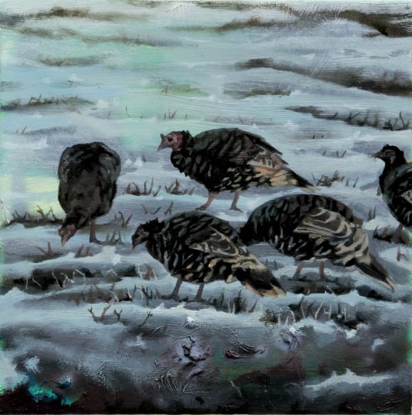 Ann Quinn, Wild Turkeys, Wyoming, 2024
