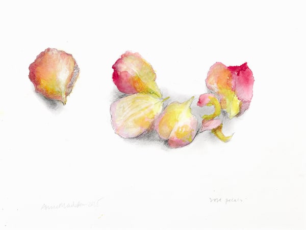 Anne Madden, Rose petals, 2015