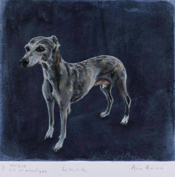 Ann Quinn, Luna, 2025