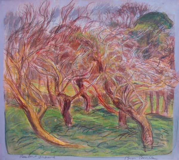 Brian Bourke, Beehive Orchard 4, 2019