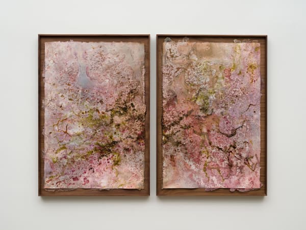 Tonia Calderon, Hold on to yourself. Crime is the wanderer easily moved in the wind., (Diptych), 2025