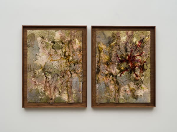 Tonia Calderon, They don't listen when you scream. It's time to whisper now., (Diptych), 2025