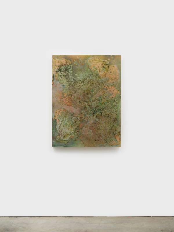 Tonia Calderon, We can wait for the clouds to move. Or we can walk to the sun. , 2025