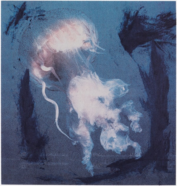 Jean-Luc Moulène / Estampe originale d’artiste / Atelier de sérigraphie d'art TCHIKEBE, Marseille