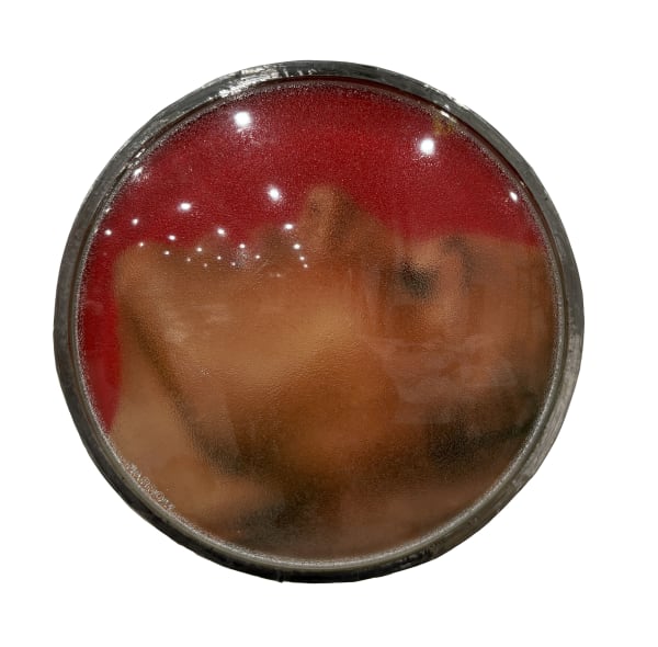 Thomas Mailaender, Les lentilles, 2025