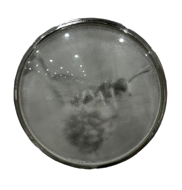 Thomas Mailaender, Les lentilles, 2025