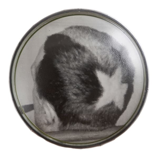 œuvre unique de l'artiste Thomas Mailender rerpésentant une photographie vintage de magazine montée sous un phare de voiture