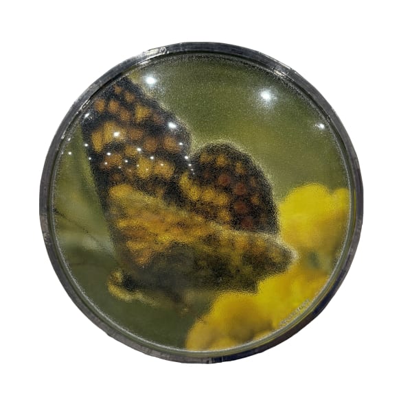 Thomas Mailaender, Les lentilles, 2025