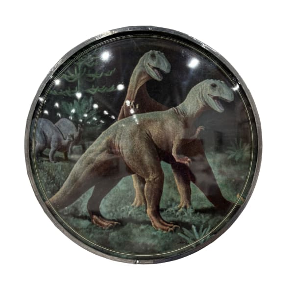 Thomas Mailaender, Les lentilles, 2025