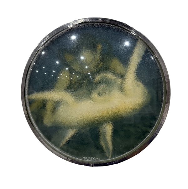 Thomas Mailaender, Les lentilles, 2025