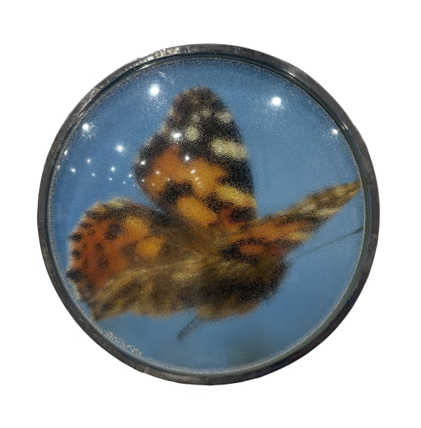 Thomas Mailaender, Les lentilles, 2025