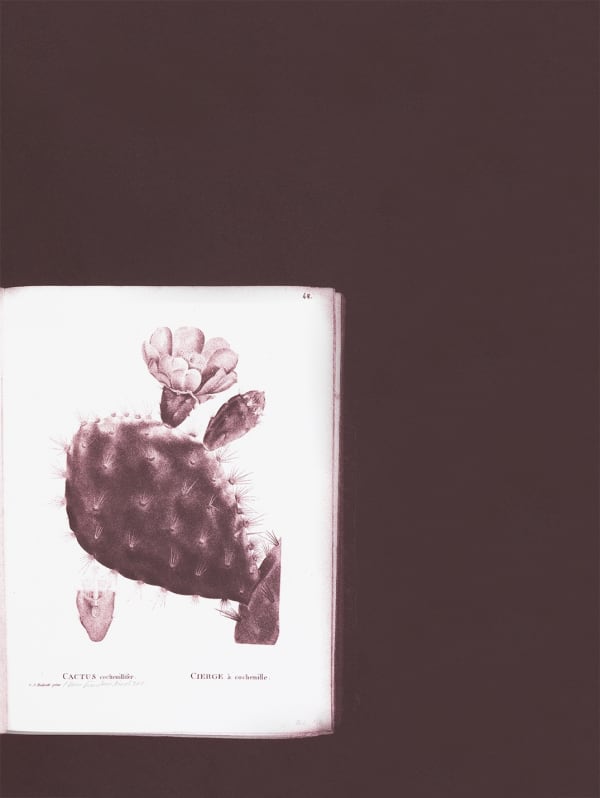 Yann Sérandour / Estampe originale d’artiste / Atelier de sérigraphie d'art TCHIKEBE, Marseille