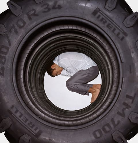 Maria Friberg, Still Lives 8, 2003-2007