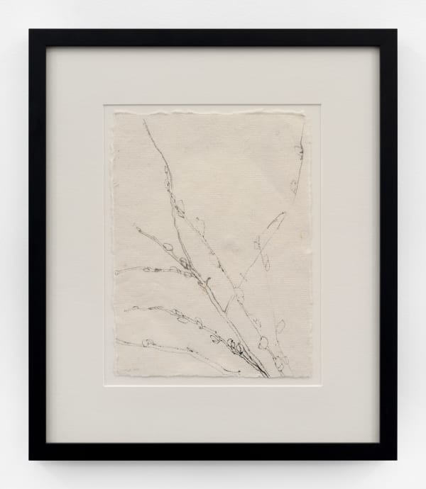 Kathleen Jacobs, Untitled, 1999