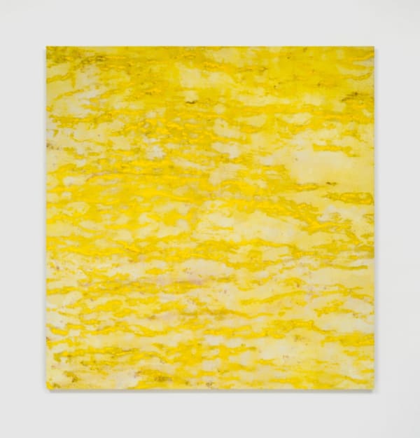 Kathleen Jacobs, WAIDE, 2023