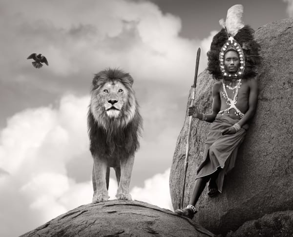 James Lewin, One Land, One Life