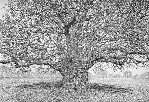 Roy Wright, The Autumn Leaves Are Slowly Falling