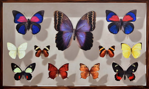 Mantra, Mesoamerican Butterflies: Board i