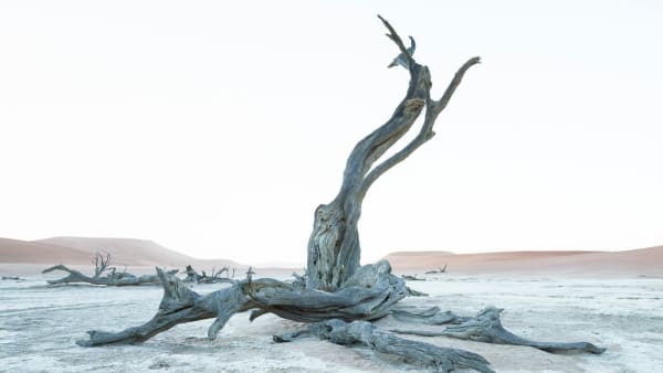 Jin-Woo Prensena, Solace, Sossusvlei Namib Desert, Namibia