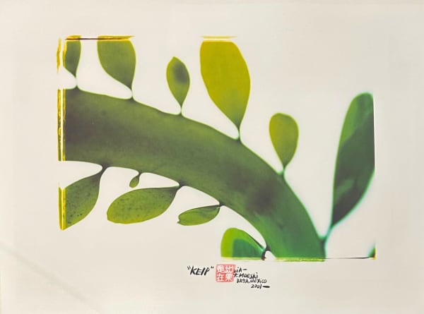 Thomas Campbell, Kelp