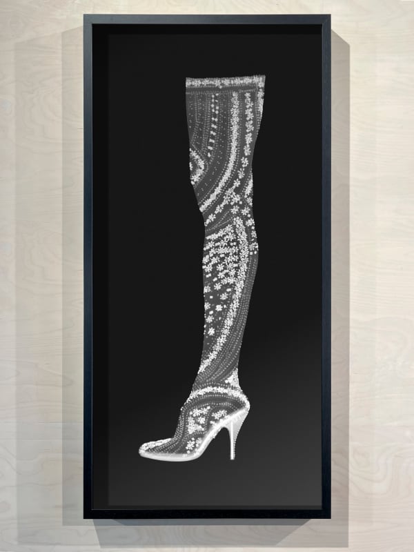 Nick Veasey, Alexander McQueen Stocking Shoe (from Deliverance show 2004)