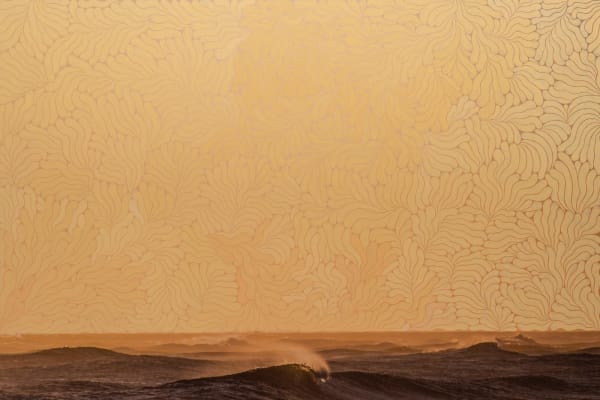 Jonathan Nimerfroh, A Natural Attraction to the Sea