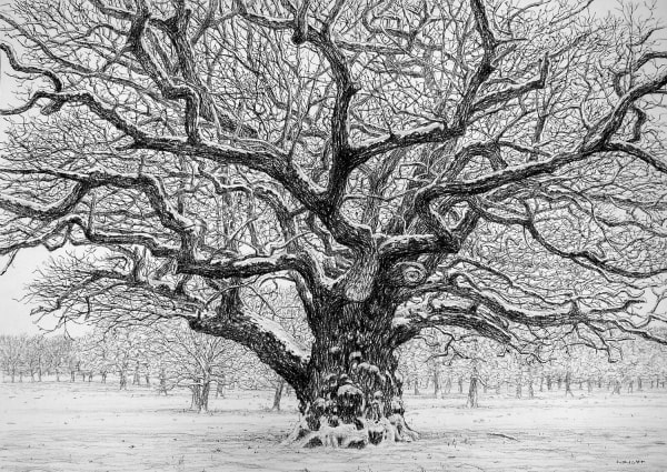 Roy Wright, Snow On The Winter Oak