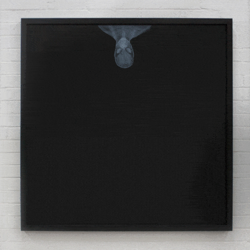 Nick Veasey, Spiderman Hangin' (Lenticular)