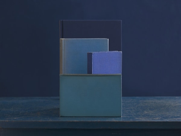 Mary Ellen Bartley, Blue Books #13, 2021