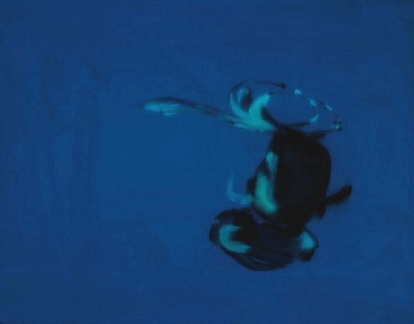 Jill Musnicki, Untitled Insect #3, 2007