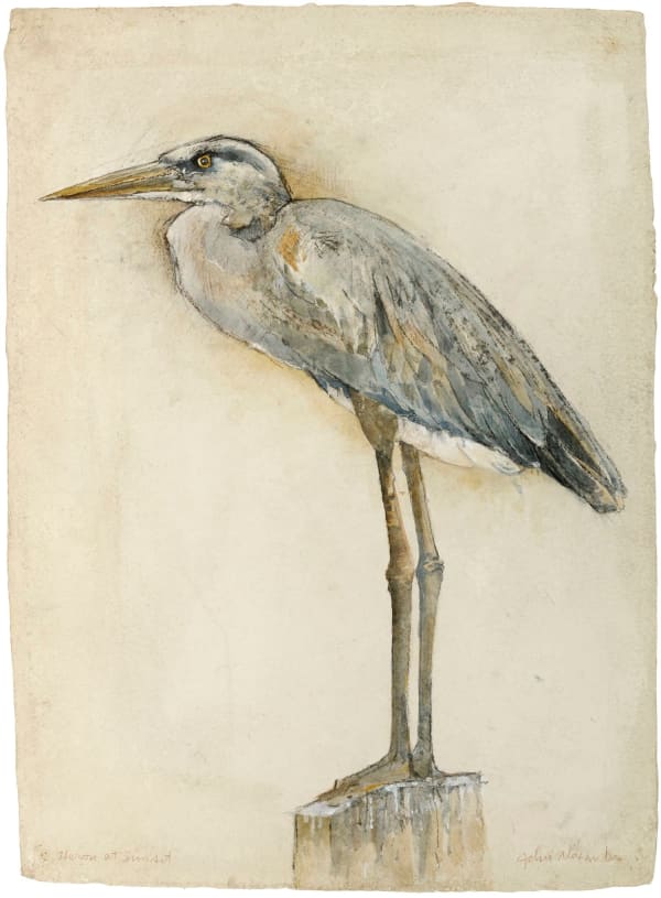John Alexander Heron at Sunset, 2008 signed and titled verso charcoal, pastel and watercolor on paper 29 1/4 x 21 1/4 inches 34 1/8 x 26 1/4 inches framed