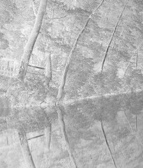 Clifford Ross, Gate II, 2008