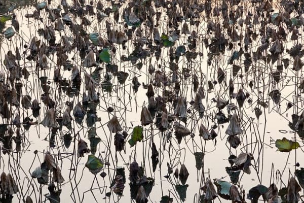Laurie Lambrecht Hangzhou (#2), 2009, printed 2011 signed verso on artist's label archival pigment print 21 x 31 1/2 inches (image) 24 3/4 x 35 1/4 inches (framed) Ed. 3/12