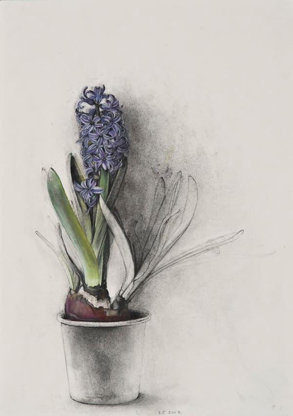 Linda Etcoff Blue Hyacinth, 2012 initialed, dated lower center charcoal, pastel and crayon on paper 20 3/8 x 14 1/2 inches 25 3/8 x 19 5/8 inches framed