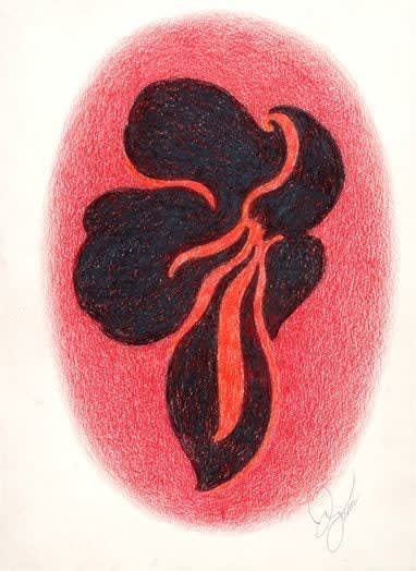 Jack Youngerman Pinks, 2002 Signed and dated lower right colored pencil on paper 9 x 6 1/2 inches