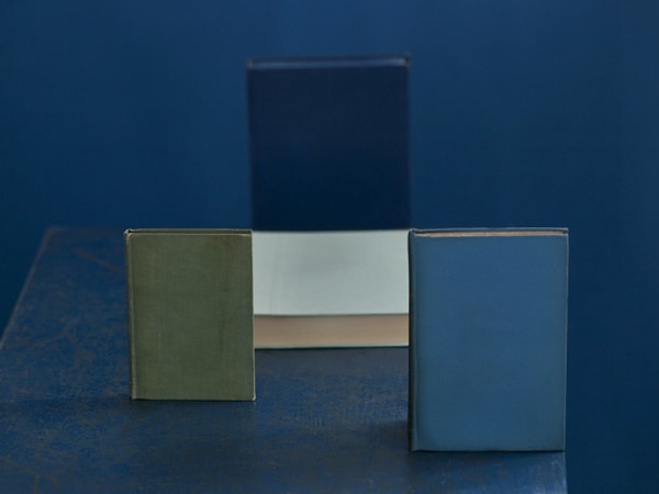 Mary Ellen Bartley Blue Books #12, 2021 signed and dated verso archival pigment print 15 x 20 inches (image) 17 x 22 inches (sheet) Edition of 7